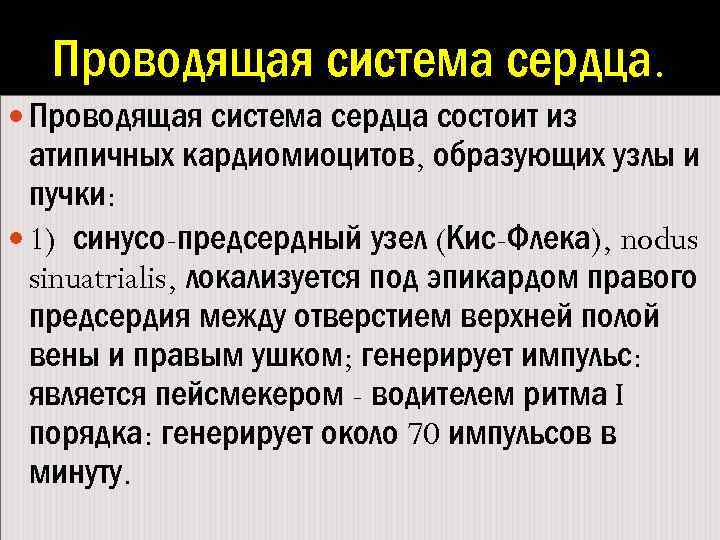 Проводящая система сердца. Проводящая система сердца состоит из атипичных кардиомиоцитов, образующих узлы и пучки: