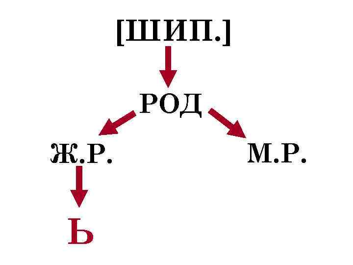 [ШИП. ] РОД Ж. Р. Ь М. Р. 