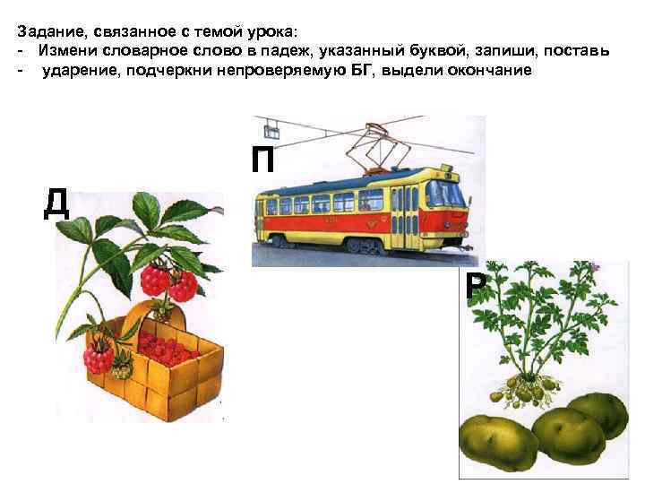 Задание, связанное с темой урока: - Измени словарное слово в падеж, указанный буквой, запиши,