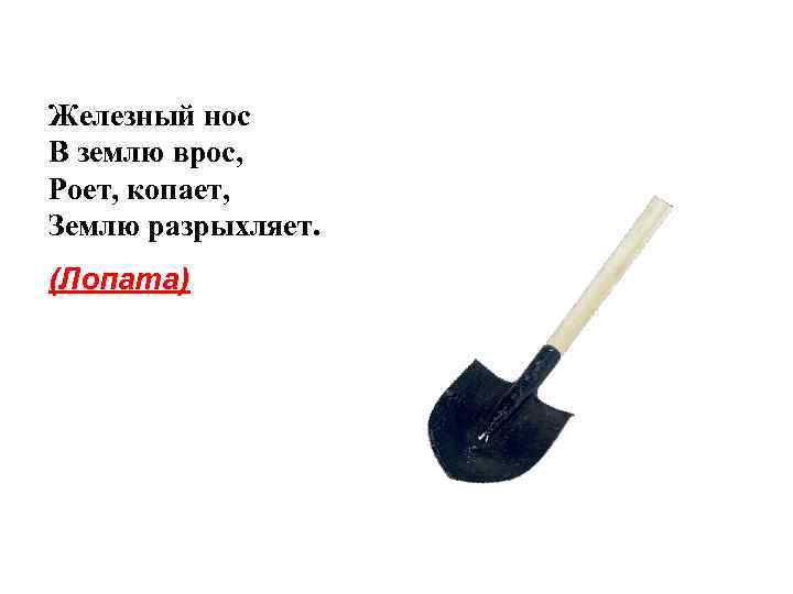 Железный нос В землю врос, Роет, копает, Землю разрыхляет. (Лопата) 