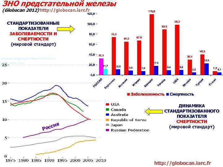 ЗНО предстательной железы (Globocan 2012) http: //globocan. iarc. fr СТАНДАРТИЗОВАННЫЕ ПОКАЗАТЕЛИ ЗАБОЛЕВАЕМОСТИ И СМЕРТНОСТИ