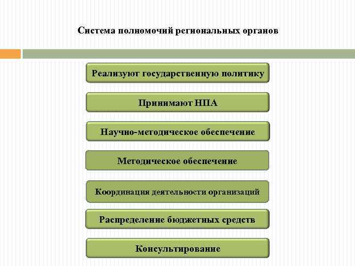 Система полномочий региональных органов Реализуют государственную политику Принимают НПА Научно-методическое обеспечение Методическое обеспечение Координация