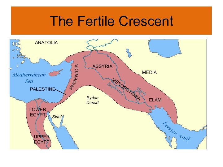 The Fertile Crescent 