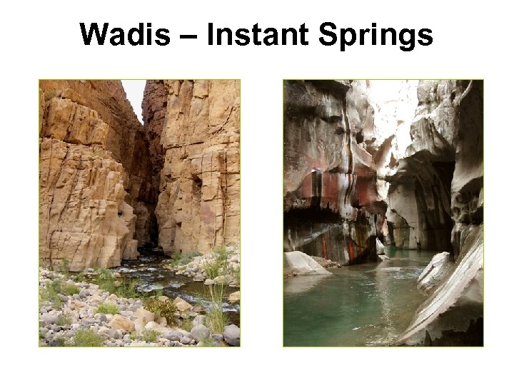 Wadis – Instant Springs 