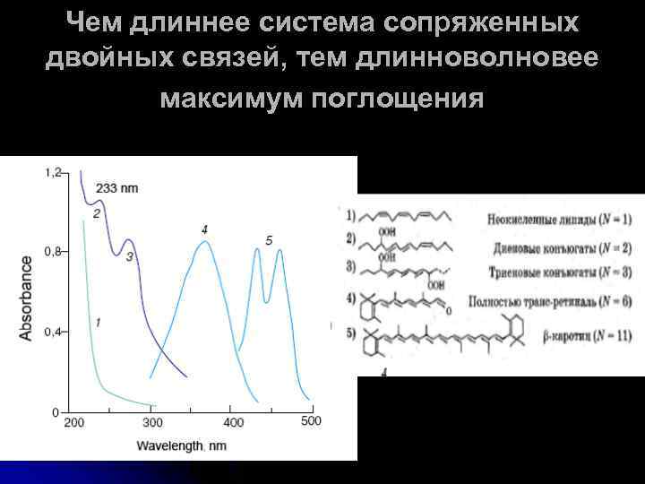 Чем длиннее система сопряженных двойных связей, тем длинноволновее максимум поглощения 