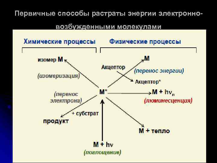Первичные способы растраты энергии электронновозбужденными молекулами 