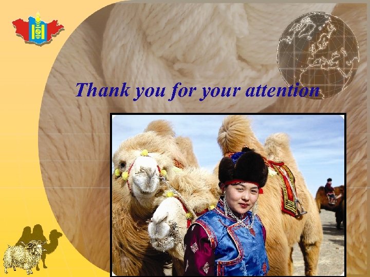 Thank you for your attention 