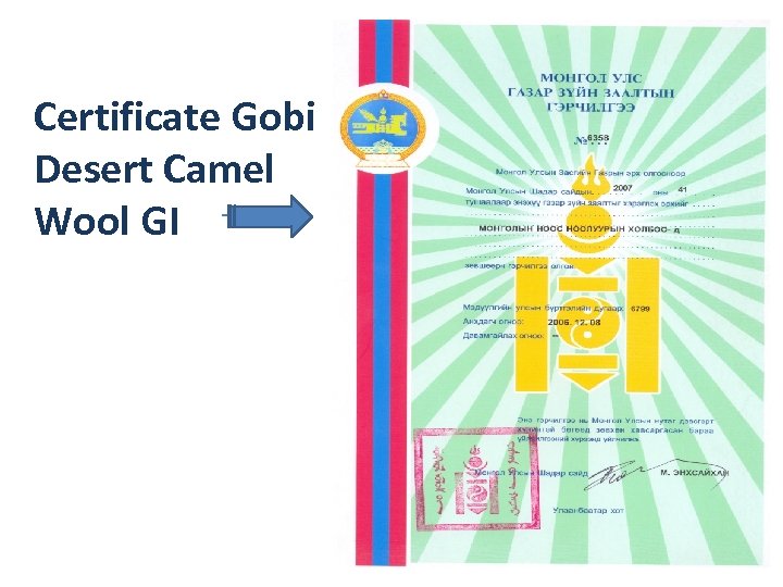 Certificate Gobi Desert Camel Wool GI 