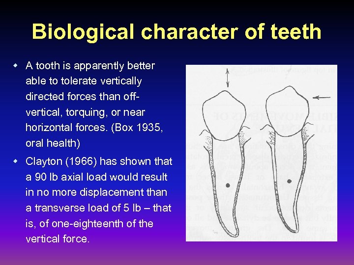 Biological character of teeth w A tooth is apparently better able to tolerate vertically