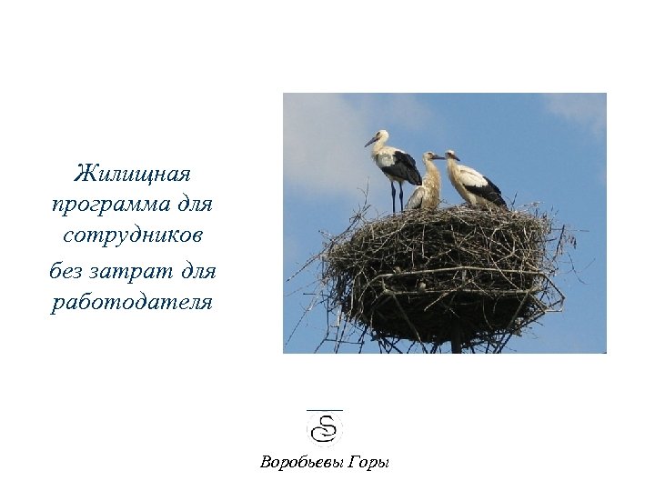 Жилищная программа для сотрудников без затрат для работодателя Воробьевы Горы 