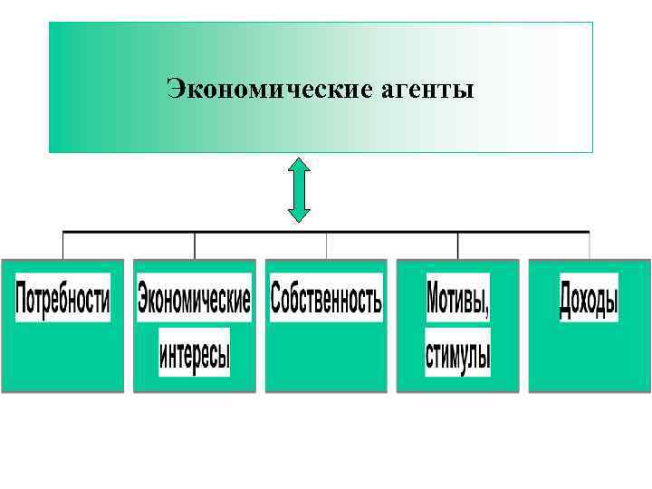 Экономические агенты 