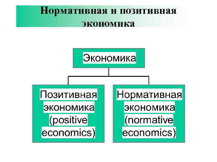 Нормативная и позитивная экономика 