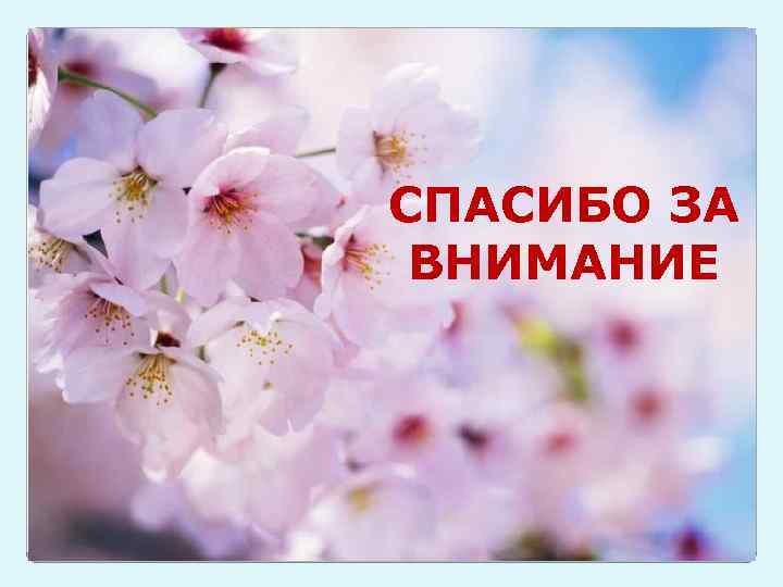 СПАСИБО ЗА ВНИМАНИЕ 