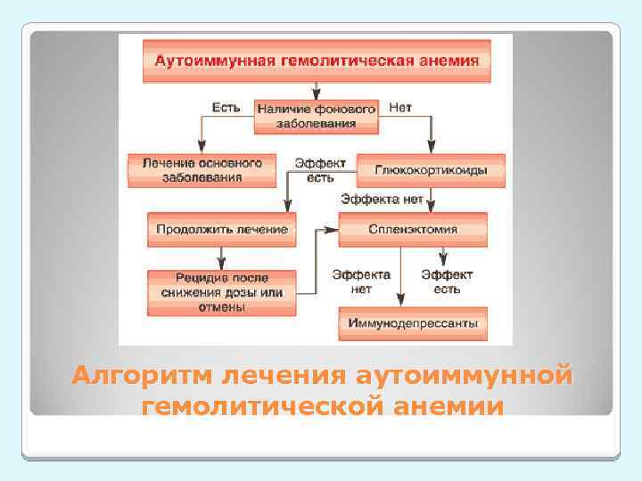 Алгоритм лечения аутоиммунной гемолитической анемии 