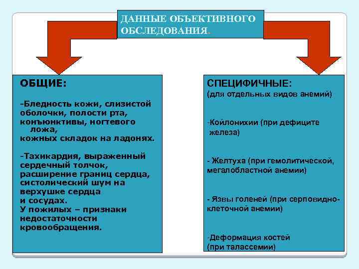 ДАННЫЕ ОБЪЕКТИВНОГО ОБСЛЕДОВАНИЯ. ОБЩИЕ: СПЕЦИФИЧНЫЕ: (для отдельных видов анемий) -Бледность кожи, слизистой оболочки, полости
