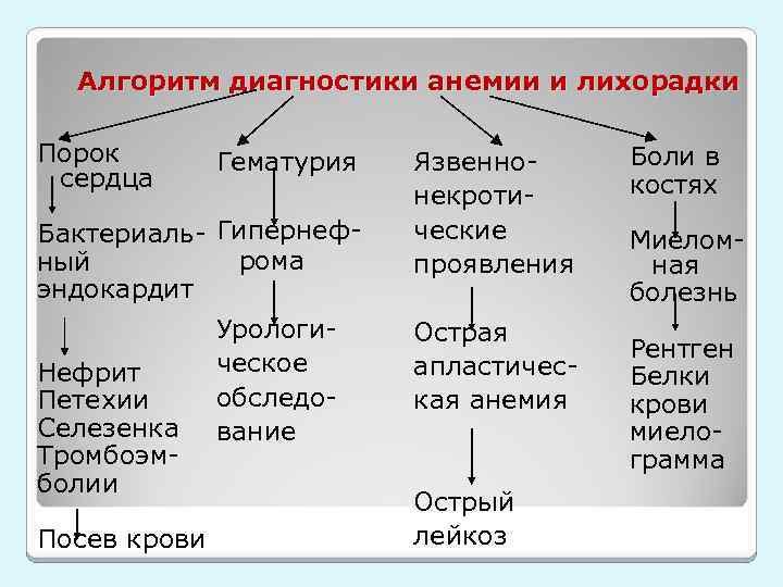 Алгоритм диагностики анемии и лихорадки Порок сердца Гематурия Бактериаль- Гипернефрома ный эндокардит Нефрит Петехии