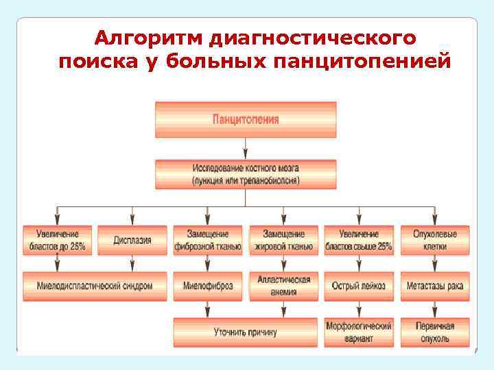 Алгоритм диагностического поиска у больных панцитопенией 