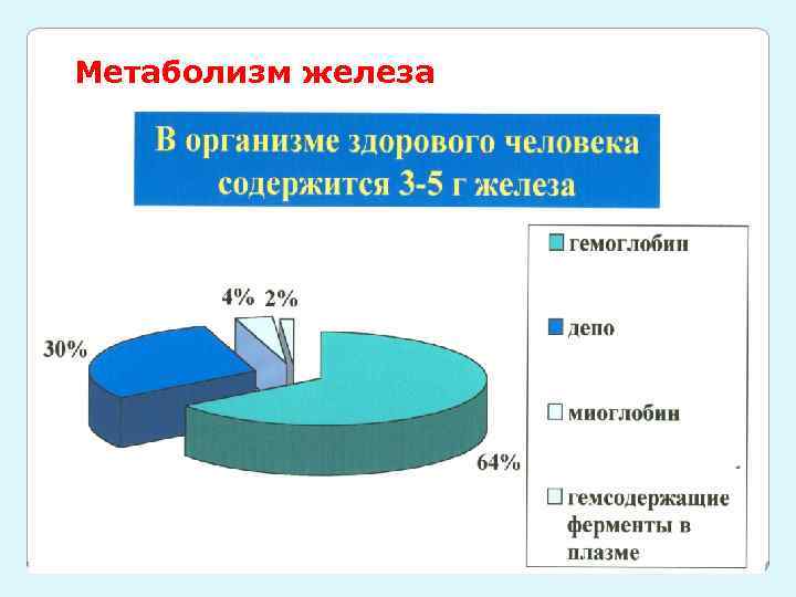Метаболизм железа 