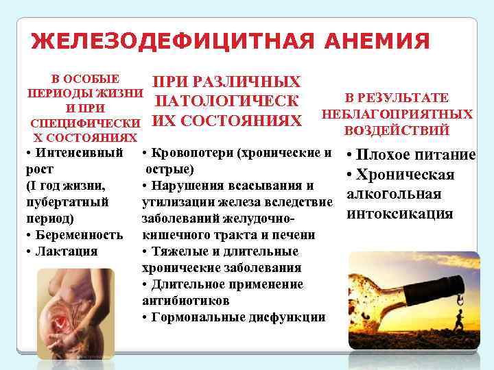 ЖЕЛЕЗОДЕФИЦИТНАЯ АНЕМИЯ В ОСОБЫЕ ПЕРИОДЫ ЖИЗНИ И ПРИ СПЕЦИФИЧЕСКИ Х СОСТОЯНИЯХ • Интенсивный рост