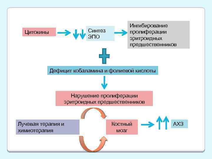 Синтез ЭПО Цитокины Ингибирование пролиферации эритроидных предшественников Дефицит кобаламина и фолиевой кислоты Нарушение пролиферации
