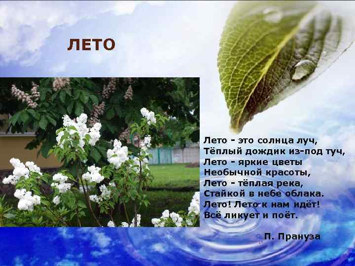 ЛЕТО Лето - это солнца луч, Тёплый дождик из-под туч, Лето - яркие цветы