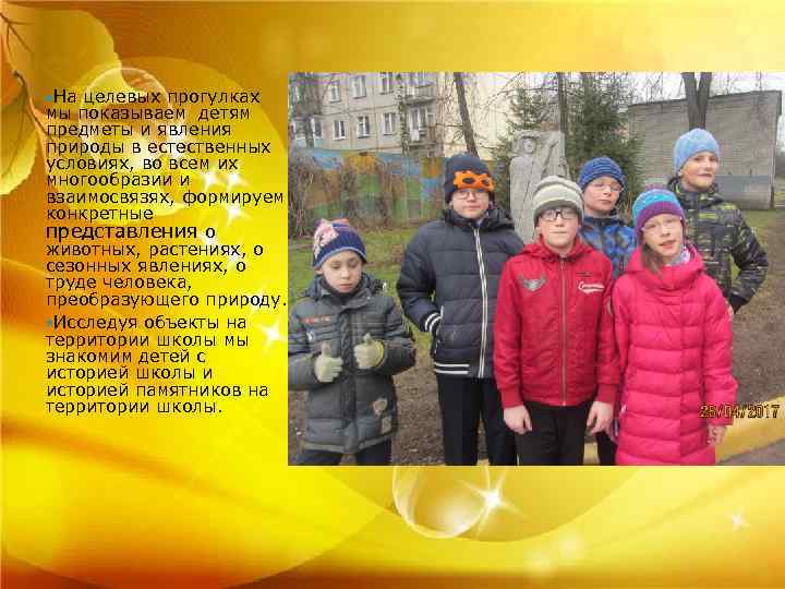  На целевых прогулках мы показываем детям предметы и явления природы в естественных условиях,