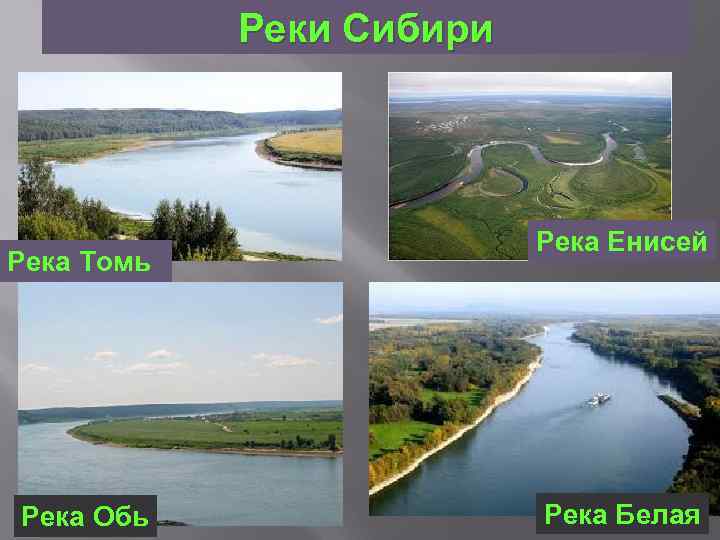 Реки Сибири Река Томь Река Обь Река Енисей Река Белая 