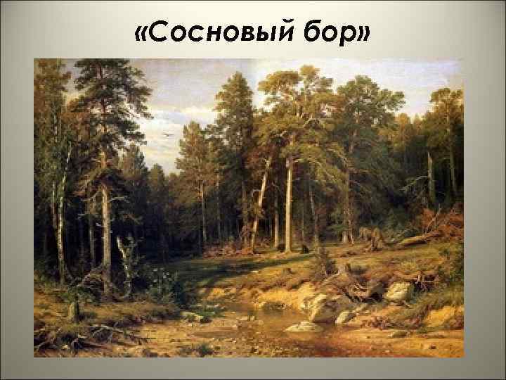  «Сосновый бор» 