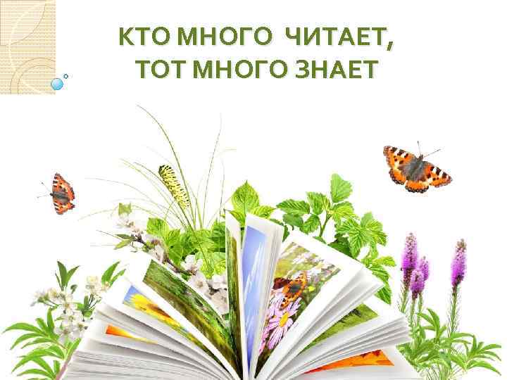 КТО МНОГО ЧИТАЕТ, ТОТ МНОГО ЗНАЕТ 