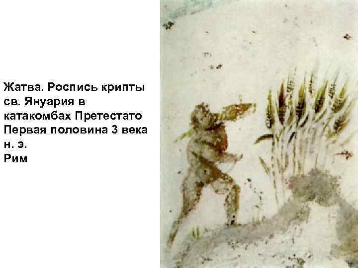 Жатва. Роспись крипты св. Януария в катакомбах Претестато Первая половина 3 века н. э.