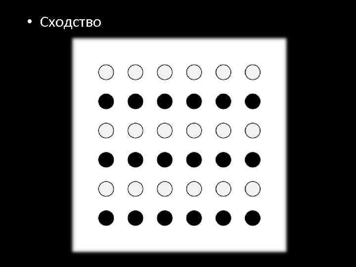  • Сходство 