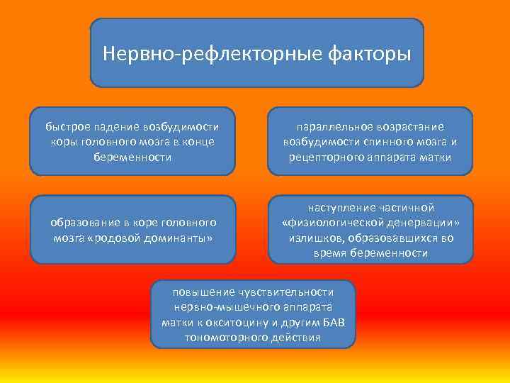 Нервно рефлекторные факторы быстрое падение возбудимости коры головного мозга в конце беременности параллельное возрастание