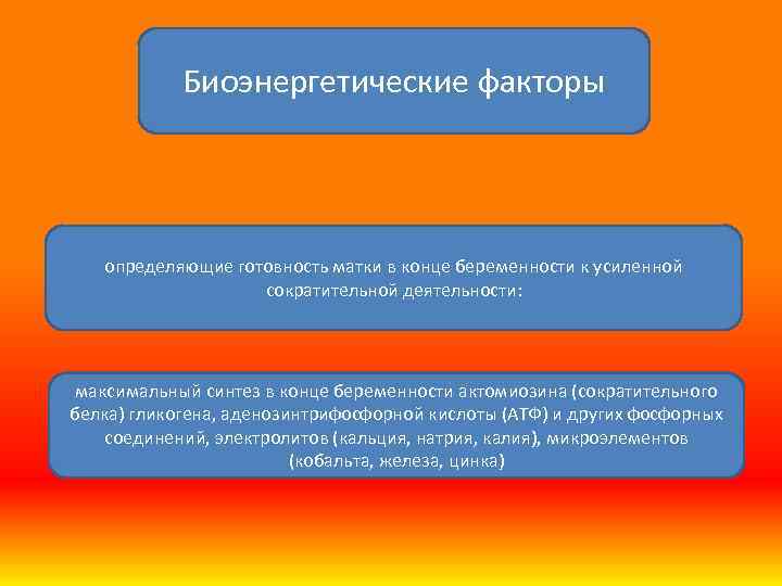 Биоэнергетические факторы определяющие готовность матки в конце беременности к усиленной сократительной деятельности: максимальный синтез