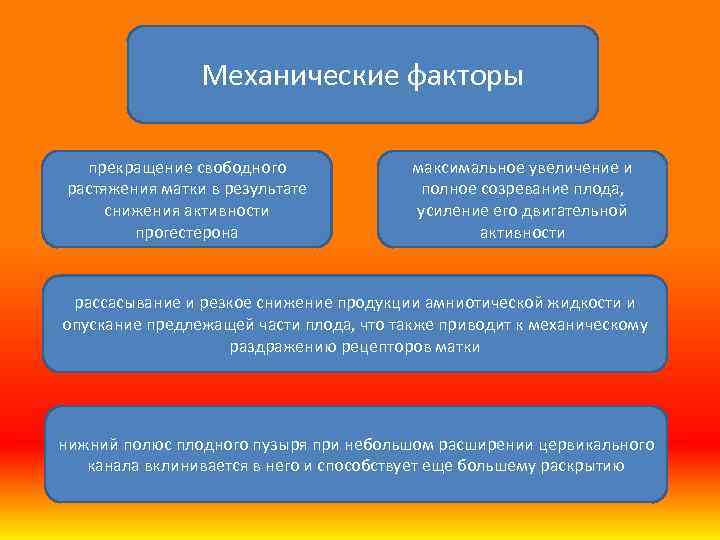 Механические факторы прекращение свободного растяжения матки в результате снижения активности прогестерона максимальное увеличение и
