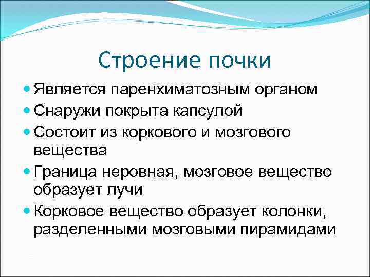 Строение почки Является паренхиматозным органом Снаружи покрыта капсулой Состоит из коркового и мозгового вещества