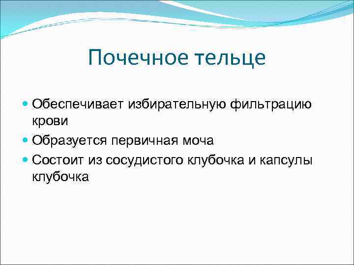 Почечное тельце Обеспечивает избирательную фильтрацию крови Образуется первичная моча Состоит из сосудистого клубочка и