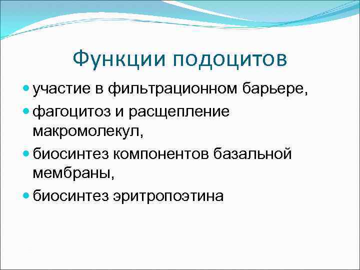 Функции подоцитов участие в фильтрационном барьере, фагоцитоз и расщепление макромолекул, биосинтез компонентов базальной мембраны,