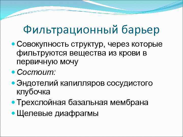 Фильтрационный барьер Совокупность структур, через которые фильтруются вещества из крови в первичную мочу Состоит: