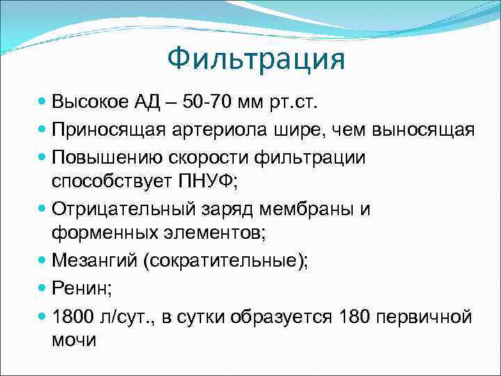 Фильтрация Высокое АД – 50 -70 мм рт. ст. Приносящая артериола шире, чем выносящая