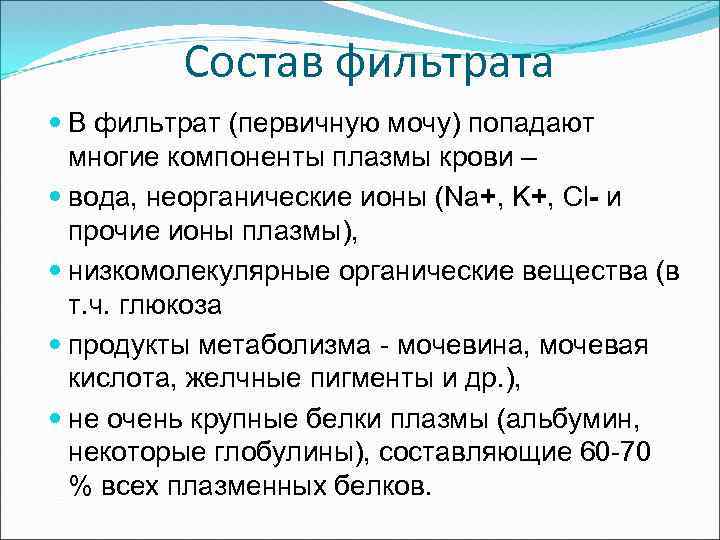 Состав фильтрата В фильтрат (первичную мочу) попадают многие компоненты плазмы крови – вода, неорганические