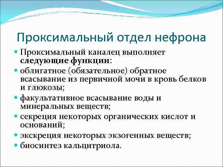 Проксимальный отдел нефрона Проксимальный каналец выполняет следующие функции: облигатное (обязательное) обратное всасывание из первичной