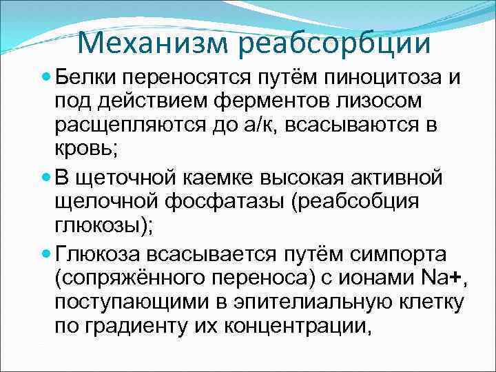 Механизм реабсорбции Белки переносятся путём пиноцитоза и под действием ферментов лизосом расщепляются до а/к,