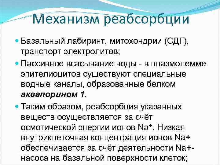 Механизм реабсорбции Базальный лабиринт, митохондрии (СДГ), транспорт электролитов; Пассивное всасывание воды - в плазмолемме