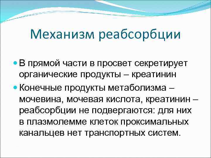 Механизм реабсорбции В прямой части в просвет секретирует органические продукты – креатинин Конечные продукты