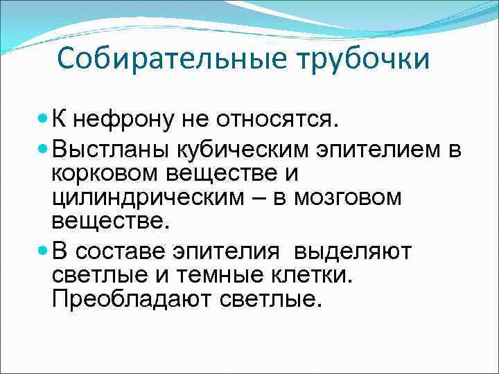 Собирательные трубочки К нефрону не относятся. Выстланы кубическим эпителием в корковом веществе и цилиндрическим