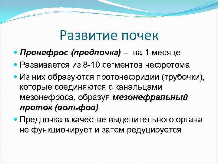 Развитие почек Пронефрос (предпочка) – на 1 месяце Развивается из 8 -10 сегментов нефротома