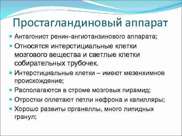 Простагландиновый аппарат Антагонист ренин-ангиотанзинового аппарата; Относятся интерстициальные клетки мозгового вещества и светлые клетки собирательных