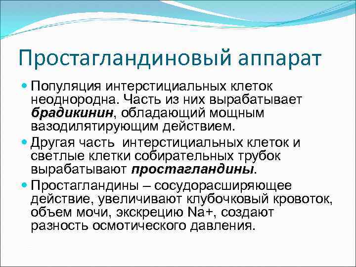 Простагландиновый аппарат Популяция интерстициальных клеток неоднородна. Часть из них вырабатывает брадикинин, обладающий мощным вазодилятирующим