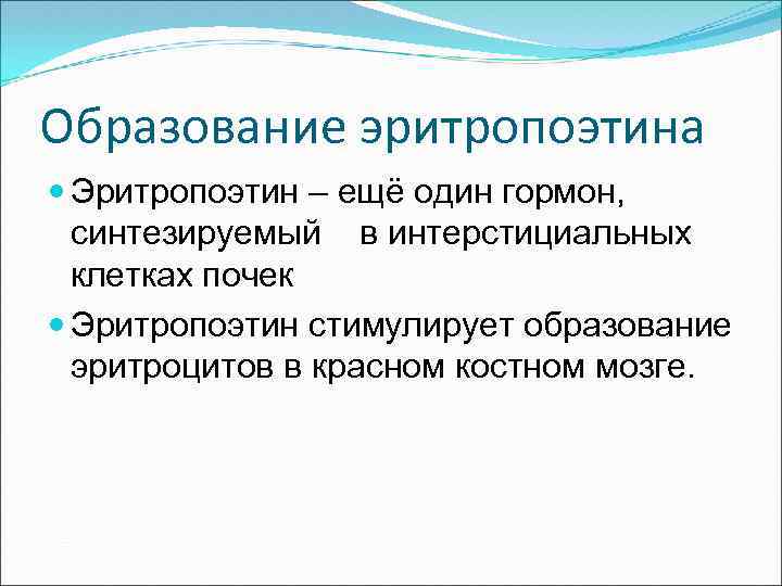 Образование эритропоэтина Эритропоэтин – ещё один гормон, синтезируемый в интерстициальных клетках почек Эритропоэтин стимулирует