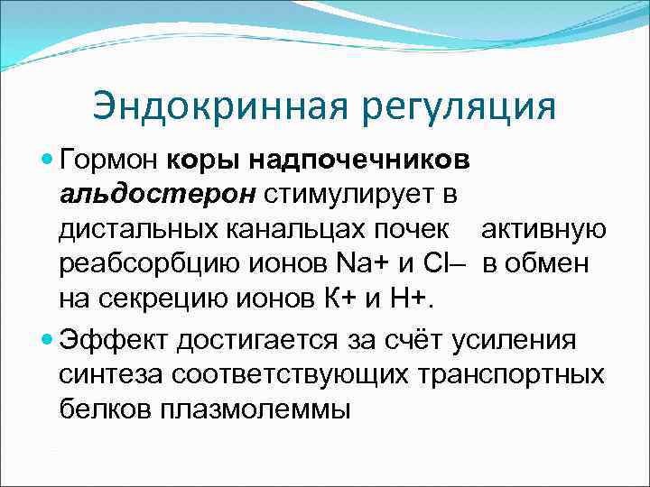 Эндокринная регуляция Гормон коры надпочечников альдостерон стимулирует в дистальных канальцах почек активную реабсорбцию ионов